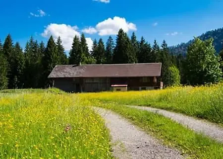 Alpe Leckenholz Apartment Hittisau